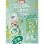 Dimes Cool Lime Özü 310 Ml x6 adet - Görsel 2