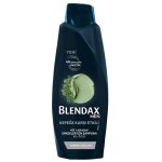 Blendax Erkek Kepeğe Karşı Etkili Şampuan 500 Ml